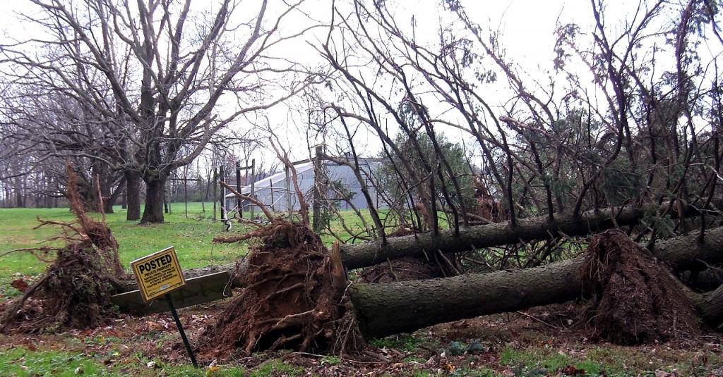 Hurricane Sandy hits Lehigh Valley