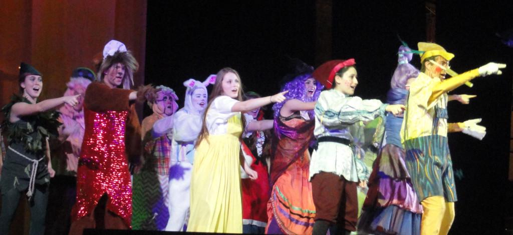 The cast of students bring the characters of Shrek to life on the Southern Lehigh stage. 