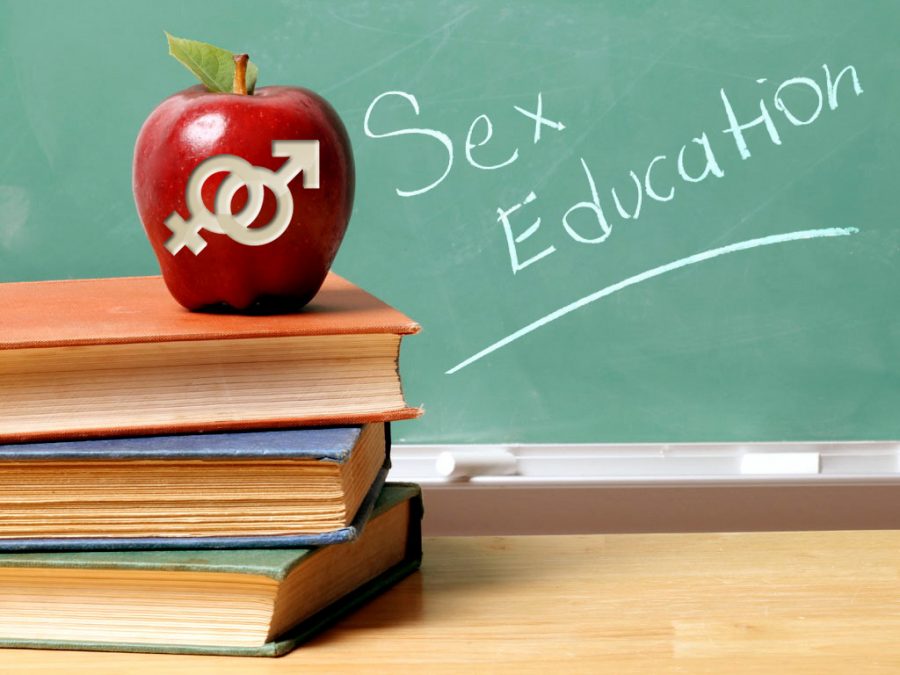 sex education in schools review