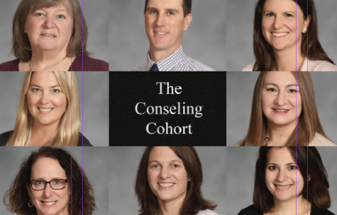 Mrs. Davis, Mr. Strong, Mrs. Piascik, Mrs. Mullay, Mrs. Mowrey, Mrs. Westbrooks, Mrs. Stepanczuk, and Mrs. Trachtman all play important roles in ensuring students can access a range of school counseling services.