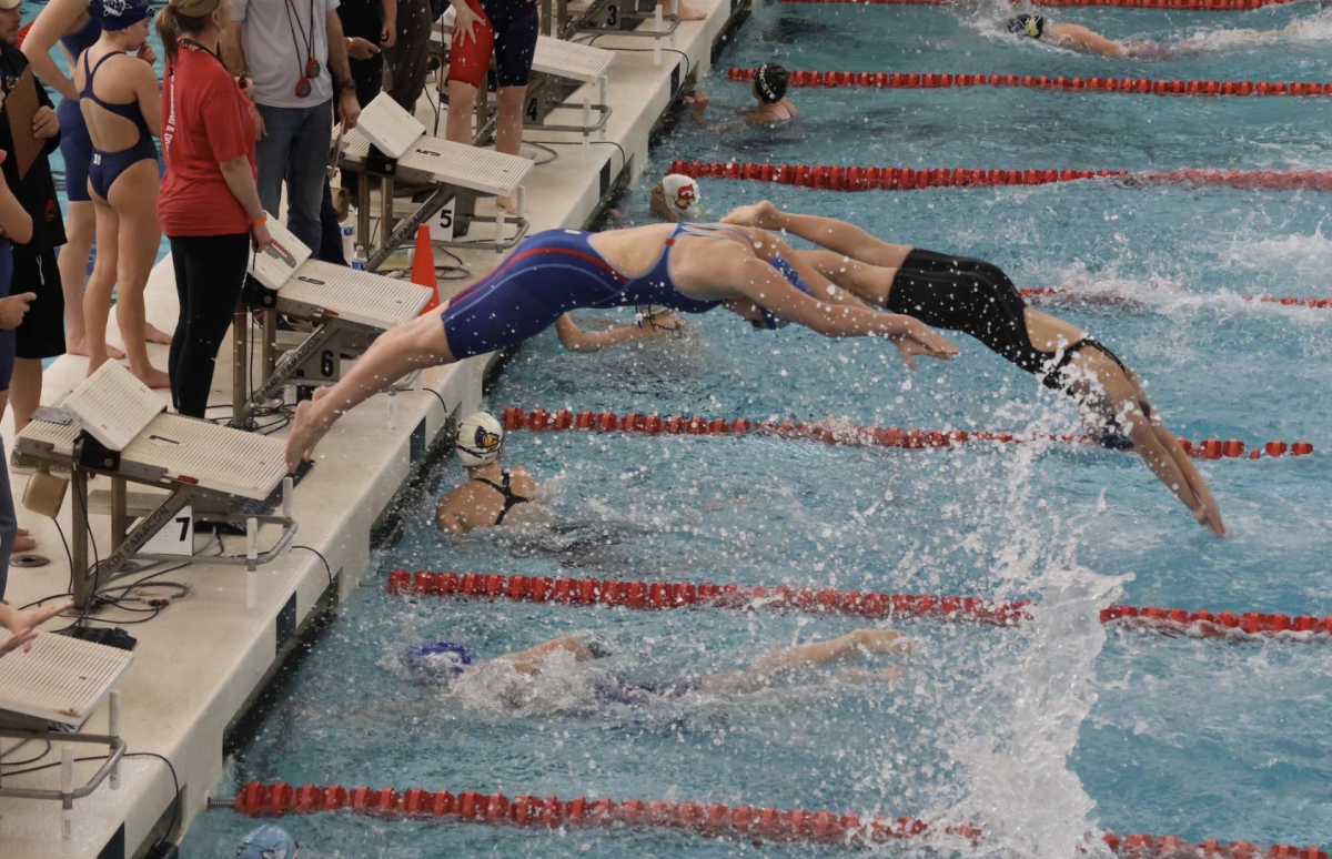 Alexis Hoyer dives into the pool, beginning her leg on the girls' relay team.